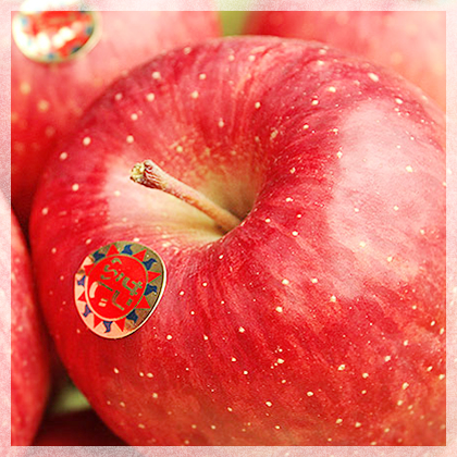 日本人の一番好きな味！的場りんご園のサンふじ