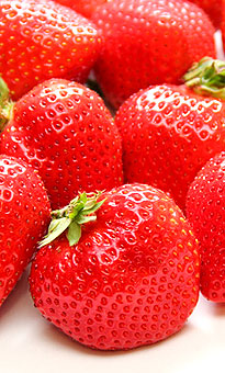 【徳島県産】 日本で唯一、徳島でしか栽培されていないブランド苺
