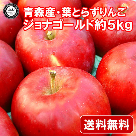 【ご家庭用】青森産りんご 葉取らずジョナゴールド