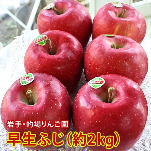 的場りんご園の早生ふじ（約2kg/5～6玉入）