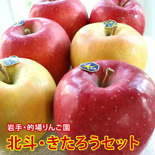 的場りんご園の北斗・きたろう（約2kg/6個入）