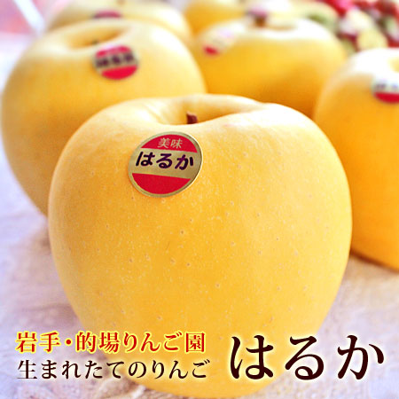 【岩手県産】的場りんご園のはるか(約1.5kg/5～6個)