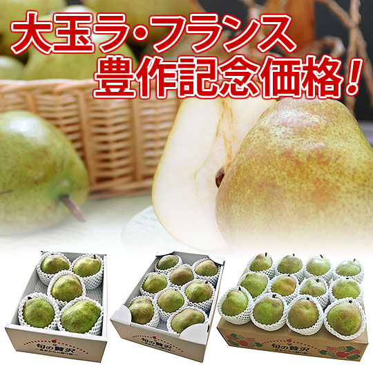 大玉ラフランス