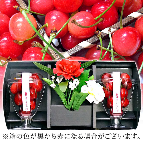 さくらんぼグラスパック入り