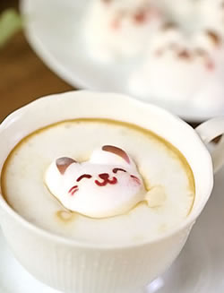 Latte(ラテ) マシュマロ