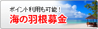 海の羽根募金