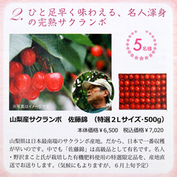 「D 2014年春 vol.021」(2014年4月発行)