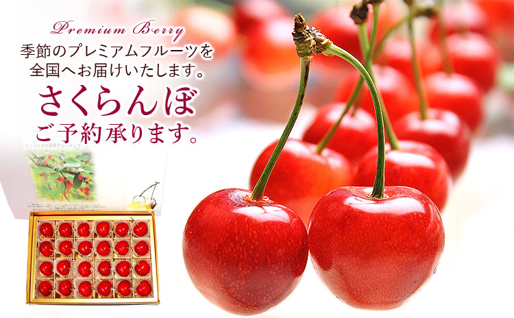 さくらんぼ特集