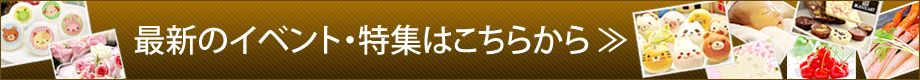 最新のイベント・特集はこちらから