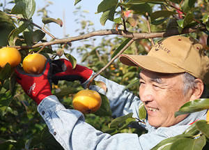 産地直送のこだわり