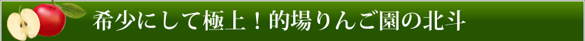 希少にして極上!的場りんご園の北斗