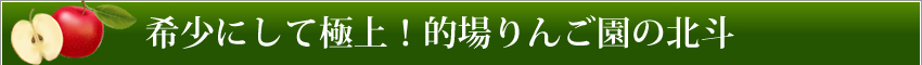 希少にして極上！的場りんご園の北斗