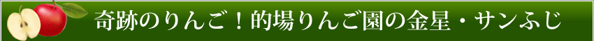 奇跡のりんご！的場りんご園の金星・サンふじ