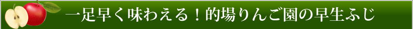 一足早く味わえる！的場りんご園の早生ふじ