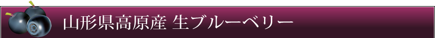 山形県高原産 生ブルーベリー