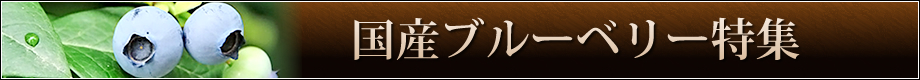 国産ブルーベリー特集