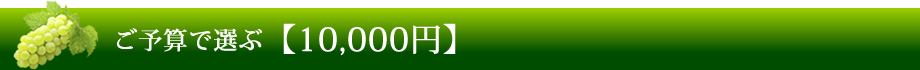 ご予算で選ぶ 【10,000円】