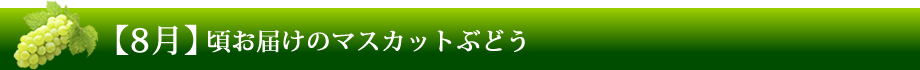 【8月】ごろお届けのマスカットぶどう