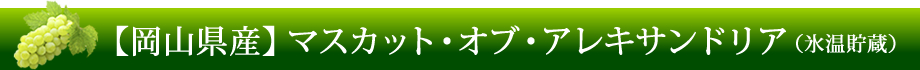 【岡山県産】マスカット・オブ・アレキサンドリア（氷温貯蔵）