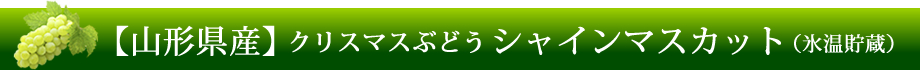 【山形県産】シャインマスカット（氷温貯蔵）