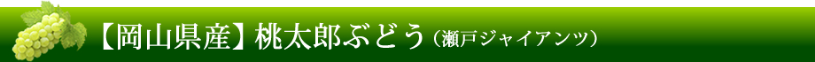 【岡山県産】桃太郎ぶどう（瀬戸ジャイアンツ）