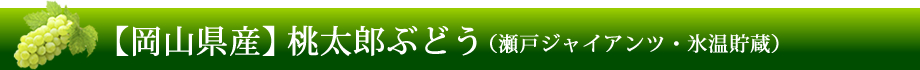 【岡山県産】桃太郎ぶどう（瀬戸ジャイアンツ・氷温貯蔵）
