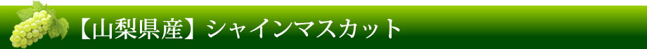 【山梨県産】皇室献上農家・夏八木家「シャインマスカット」