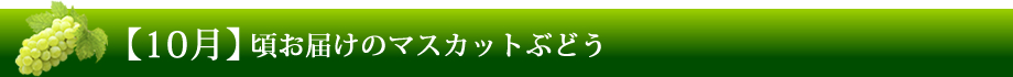 【10月】ごろお届けのマスカットぶどう