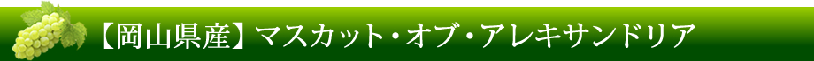【岡山県産】マスカット・オブ・アレキサンドリア