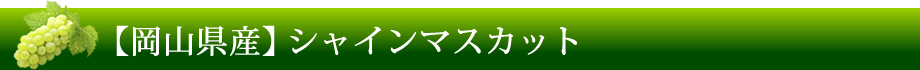 【岡山県産】シャインマスカット