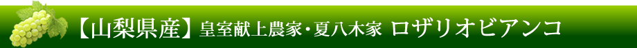 【山梨県産】皇室献上農家・夏八木家「ロザリオビアンコ」