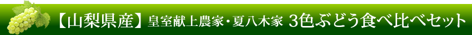 【山梨県産】皇室献上農家・夏八木家「3色ぶどう食べ比べセット」