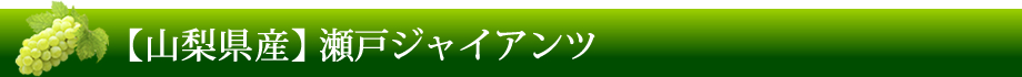 【山梨県産】瀬戸ジャイアンツ