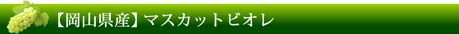 【岡山県産】マスカットビオレ