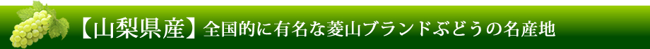 【山梨県産】全国的に有名な菱山ブランドぶどうの名産地