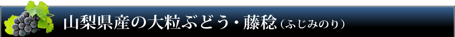 山梨県産「藤稔」（約500g×2房/化粧箱入）