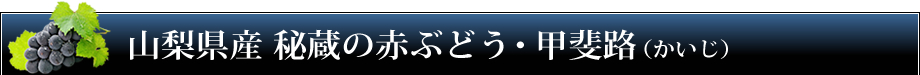 【販売終了】山梨県産のぶどう・甲斐路