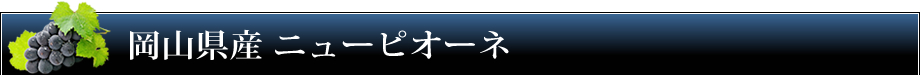 岡山県産 ニューピオーネ
