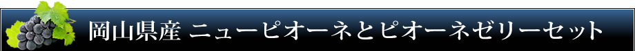 岡山県産　ニューピオーネとピオーネゼリーセット