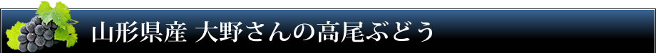 山形県産・大野さんの高尾ぶどう