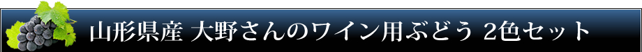 【販売終了】山形県産 大野さんのワイン用ぶどう2色セット