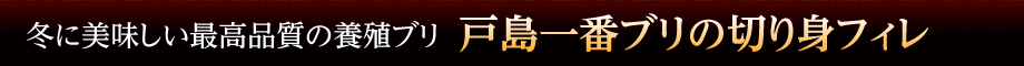 冬に美味しい最高品質の養殖ブリ「戸島一番ブリの切り身フィレ」