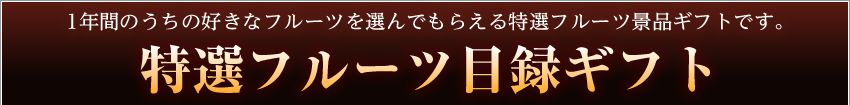 特選フルーツ目録ギフト