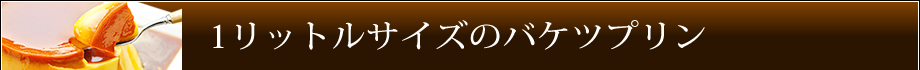 1リットルサイズのバケツプリン