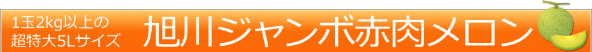 北海道産「旭川ジャンボ赤肉メロン」