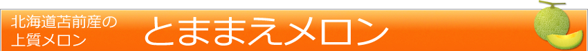 北海道苫前産の上質メロン「とままえメロン」