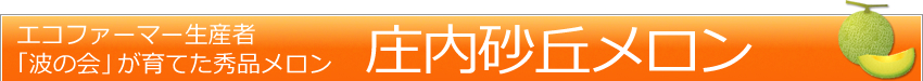 エコファーマー生産者「波の会」が育てた秀品メロン「庄内砂丘メロン」