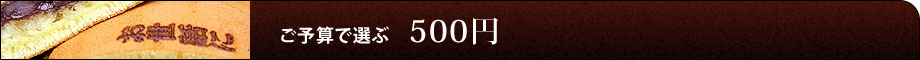 ご予算で選ぶ 【500円】