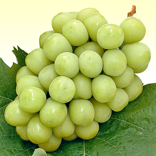 シャインマスカット シャインマスカット