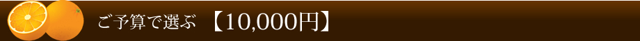 ご予算で選ぶ 【10,000円】